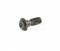 Bosch Screw