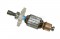 Bosch Armature Assembly