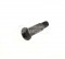 Bosch Screw