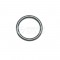 Bosch O-Ring