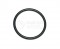 Bosch O-Ring