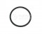 Bosch O-Ring