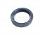 Bosch Rotary shaft lip seal