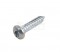 Bosch Torx Oval-Head Screw