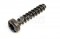 Bosch Dremel Lens Head Screw