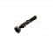 Bosch Lens Head Screw