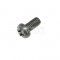 Bosch Screw