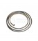 Bosch Torsion Spring