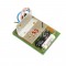 Festool 492162 Electronic 220V