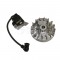 Hitachi HiKoki Magneto AssY